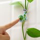 thumbnail image 4 of FENGGUIQU 50Ud Sujetadores De Plantas Para Enredaderas Clips De Plástico Resistentes, 4 of 8