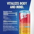 thumbnail image 2 of Red Bull Winter Edition Sugarfree Energy Drink, Fuji Apple & Ginger, 12 fl. oz. Can, 114mg Caffeine, Pack of 6 Cans, 2 of 7