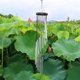 thumbnail image 1 of 18 tubos Wind Chime Yard Garden Outdoor Living Wind Chimes Decor (plateado) Ndcxsfigh Nuevos Originales, 1 of 7