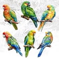 thumbnail image 5 of Parrots Decorative Wooden Clip-on Ornaments of 6 by G. Debrekht - Christmas Decor - 8090013C-S6, 5 of 11