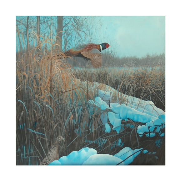 Trademark Fine Art 'Pheasant Acrylic 067' Canvas Art by Rusty Frentner