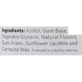 thumbnail image 3 of Xylichew - Sugar Free Chewing Gum Ice Mint Jar, 3 of 11