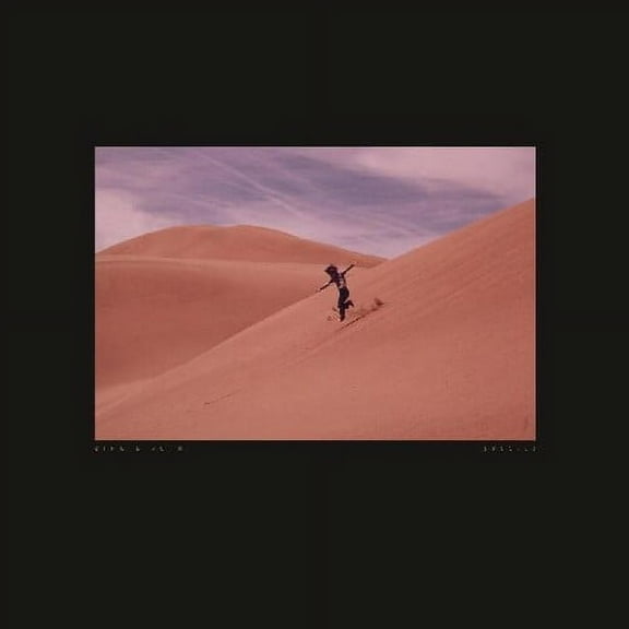 Bing & Ruth - Species - Rock - Vinyl