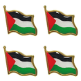 thumbnail image 1 of Pin bandera palestina insignia de recuerdo delicado broche con forma de bandera patriota regalo de viaje, 1 of 2