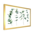 thumbnail image 2 of Designart 'Green Eucalyptus Plant Branches I' Traditional Framed Art Print, 2 of 4