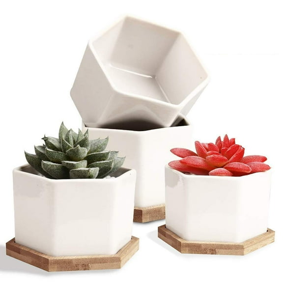 Succulent Pots, Succulent Planters, Set of 4 White Ceramic Succulent Cactus Plant Pots with Bamboo Tray(Plants NOT Included)