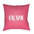 thumbnail image 2 of Surya Ok Bye Outdoor Pillow, 2 of 2