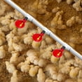 thumbnail image 4 of Tazas de agua potable para aves de corral, máquina de taza de agua de pollo de plástico automática yeacher  Copas para beber aves de corral, 4 of 7
