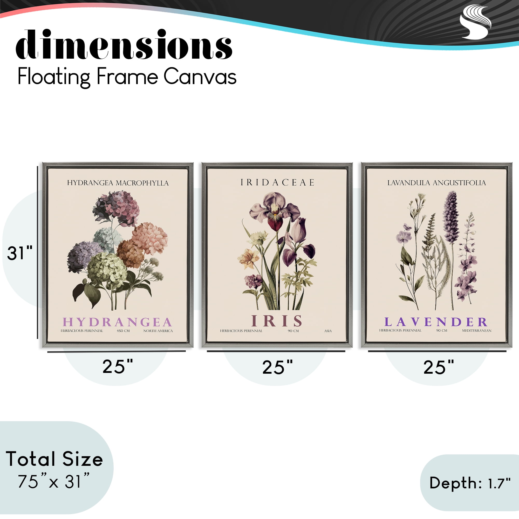 Stupell Industries Botanical Bundles & Sprigs 3 Piece Gray Framed Floater Canvas Set, design by Christopher Giampietro