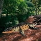 thumbnail image 5 of Figuras de dinosaurios Yotijar Animal prehistórico de plástico Liopleurodon, 5 of 10