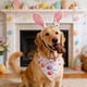 thumbnail image 5 of Bufanda de Pascua para mascotas, diadema para perro y conejo estampada con huevos de colores, babero para perro, decoración festiva, adecuada para gatos, perros y gansos, diadema de poliéster para mas, 5 of 6
