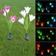 thumbnail image 2 of Lámpara decorativa solar LED para césped, lámpara de flor de simulación, lámpara de pie para patio, 2 of 5