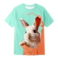 thumbnail image 4 of WOYY Boys Easter T Shirt Cute Rabbit Print Short Sleeve Round Neck T-Shirt Top, Sizes 1-13, 4 of 4