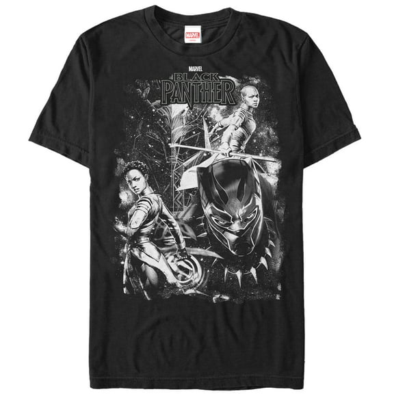 Men's Marvel Black Panther 2018 Starry Characters  Graphic Tee Black 4X Large