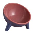 thumbnail image 1 of Single Elevated Bowl - Style E, 1 of 11