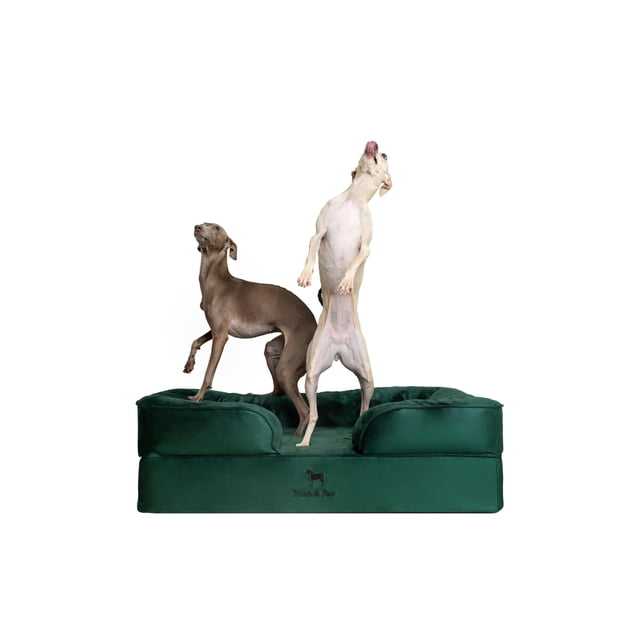 Cama grande para perros NOAH & PAW, 89 x 64 x 28 cm, refrigeración ortopédica