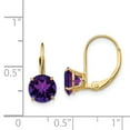 thumbnail image 2 of Primal Gold 14 Karat Yellow Gold 7mm Amethyst Leverback Earrings, 2 of 4