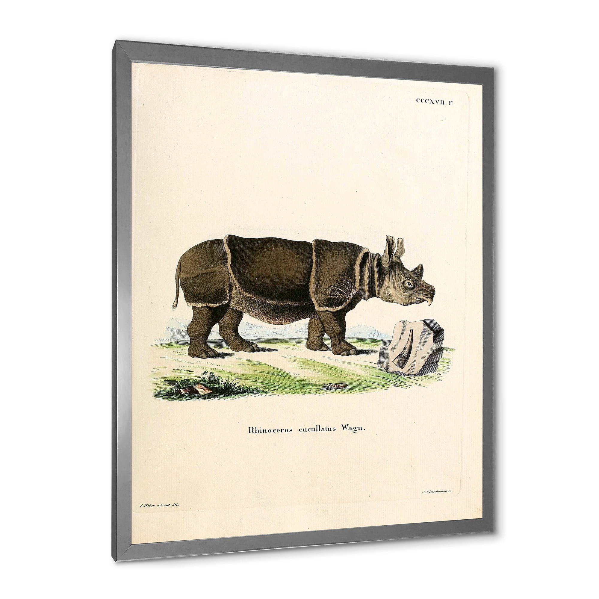 Designart 'Ancient Rhinoceros' Farmhouse Framed Art Print