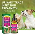 Cat & Dog Urinary Tract Infection Treatment & Natural UTI Medicine