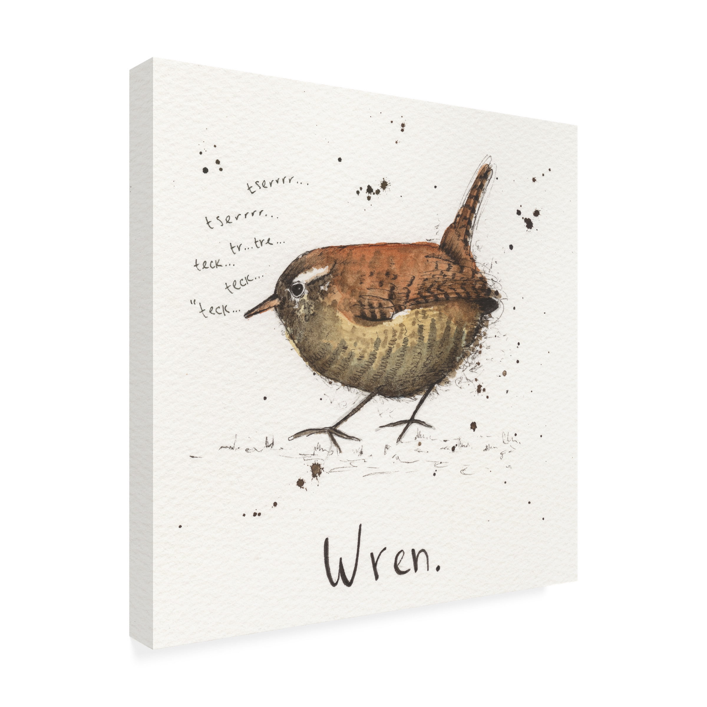 Michelle Campbell 'Wren' Canvas Art