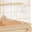 Almond, variant on Alden Design 53.5" Metal Rolling Bird Cage with Play Top Stand, Light Gray