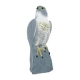 thumbnail image 4 of Estatua de Águila Jardín Simulada Decorativa Realista para Disuadir Aves Esculturas de Patio Material PE Adecuada para Protección de Huertos Césped Año 1201, 4 of 8
