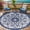 LH Blue, variant on Aonewoe Round Outdoor Rugs 6Ft Waterproof Patio Plastic Straw Rug Reversible Camping Carpet Indoor Outdoor Area Rug for Patio,Deck,Balcony,Picnic,Beach,Outside