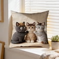 thumbnail image 4 of Euaioeiu Cute Animal Pillow Cover Fluffy Embroidery Decorative Throw Pillow Case Soft Accent Cushion Cover for Living Room Sofa Bedroom Decor Festival Home Decor, 4 of 6