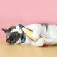 thumbnail image 5 of Juguete indestructible para gatos, juguete súper masticable para gatos, juguete masticable para gatos, juguete de modelado de pez, juguete interactivo para gatos, regalo para gatos de raza mediana,, 5 of 5