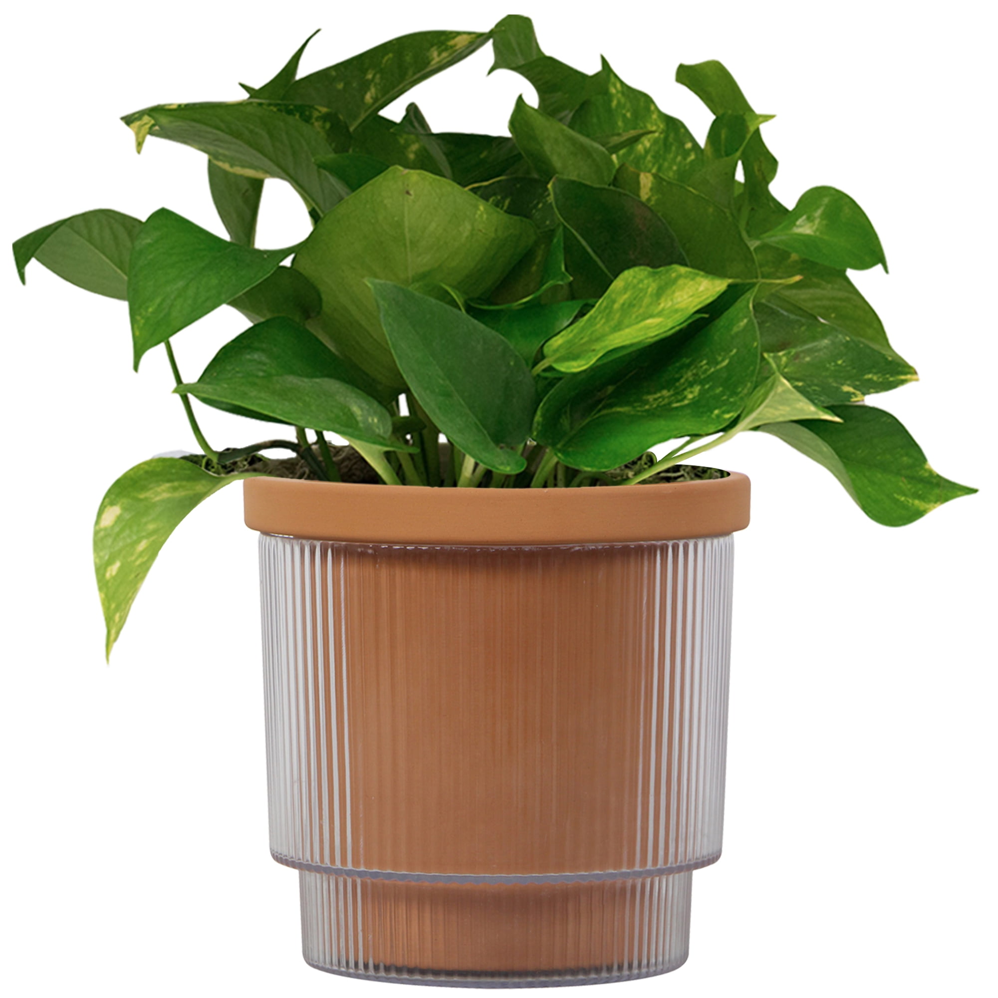 Mainstays 8in Aquaterra Self Watering Planter