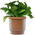 thumbnail image 5 of Mainstays 8in Aquaterra Self Watering Planter, 5 of 6