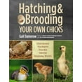 thumbnail image 2 of Hatching & Brooding Your Own Chicks, Gail Damerow Paperback, 2 of 2