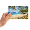 thumbnail image 3 of Tarjetas postales BEST PAPER GREETINGS, paquete de 40 unidades, naturaleza, 10 x 15 cm, 3 of 7