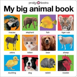 新品✨My Big Book of Words My Big Book of Words: Page Publications: 9781648330612