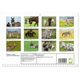 thumbnail image 2 of Donkey - pretty, smart and hardworking (Monthly Wall Calendar 2026 11.7 x 16.5 (open)), CALVENDO 14 Month Calendar, 2 of 9