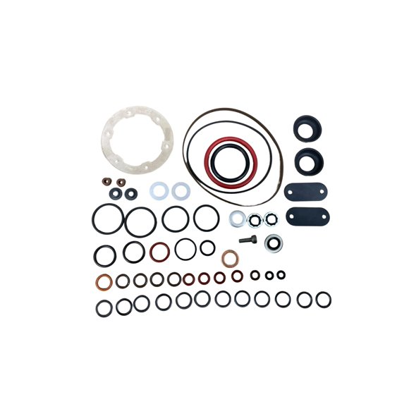 Kit de Sellos y Juntas para Bomba Diesel Stanadyne Roosa 24371