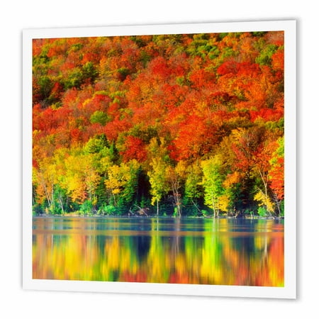 3dRose USA, New York, Adirondack Mountains. Autumn reflects in Heart Lake., Iron On Heat Transfer, 8 by 8-inch, For White
