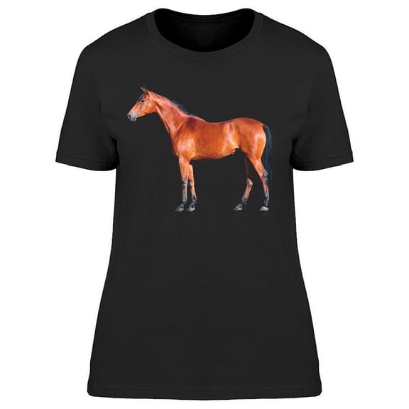 Bay Horse Isolated T-Shirt Women -Image by Shutterstock Women T-Shirt, Female Medium
