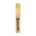 thumbnail image 2 of CONCEALER-FAIR, 2 of 2
