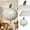 B, variant on Halloween Foil Balloons with 3D Pumpkin Design, 25 Inch, 10 Pack, Mint Green, for Halloween Party Decorations