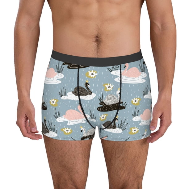 Fotbe Swan Princess On Lake Calzoncillos Tipo Boxer con Bolsa de Soporte Total para Hombre, X-Temp Fresco, Transpirable y de Secado Rápido-Large