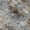 Gray, variant on Addison Rugs Mayfield Premium Machine Washable Transitional Bohemian Gray Rectangle Rug, 10' x 14'