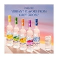 thumbnail image 6 of GREY GOOSE Vodka, 750 mL Bottle, ABV 40%, 6 of 12