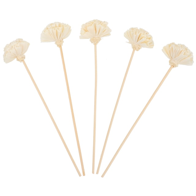 MasteelfCA 5Pcs Aromatherapy Rattan Sticks Aromatherapy Accessories Flower Rattans (Beige)