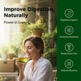 thumbnail image 3 of Flora Swedish Digestive Bitters Alcohol-Free 8.5 Fl Oz – Traditional Austrian Digestive Herbs for Digestion Improvement, Acid Reflux, Tummy issues and more, 3 of 7