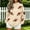 A2 Beige, variant on Womens Oversized Mock Neck Sweatshirts Game Day Long Sleeve Fall Fashion Must Haves Winter Trendy Clothes Travel Daily Outfit Baggy Plain Sports Mom Must Have Sunday Funday Baseball Mom Shirt Beige