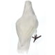 thumbnail image 3 of Figuras de esculturas de estatua de pájaros de palomas decorativas Zulema 1 de pie blanco Decoy Pigeon Artificial, 3 of 8