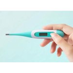 Ultra Thermomètre flexible rapide, 12,4*1,9*0,9cm