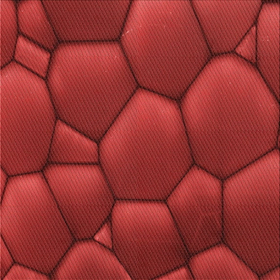 Ahgly Company Machine Washable Indoor Square Transitional Red Area Rugs, 7' Square