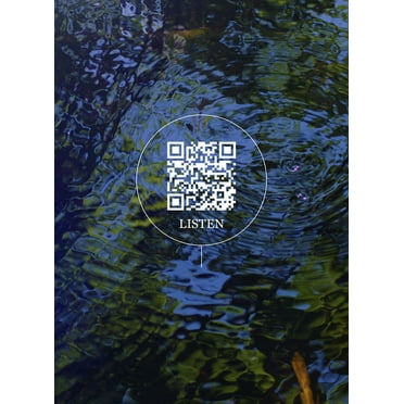 Wetland Project: Explorations in Sound, Ecology and Post-Geographical Art (Hardcover)